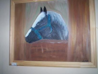 Caballo en estud