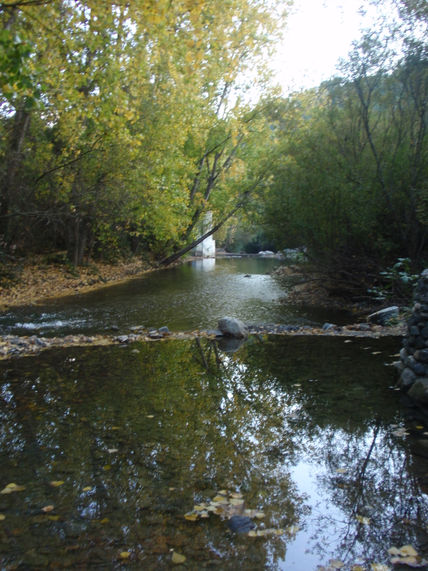 Rio genal
