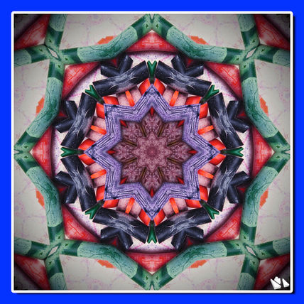 Ceras 1