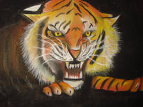 Tigre