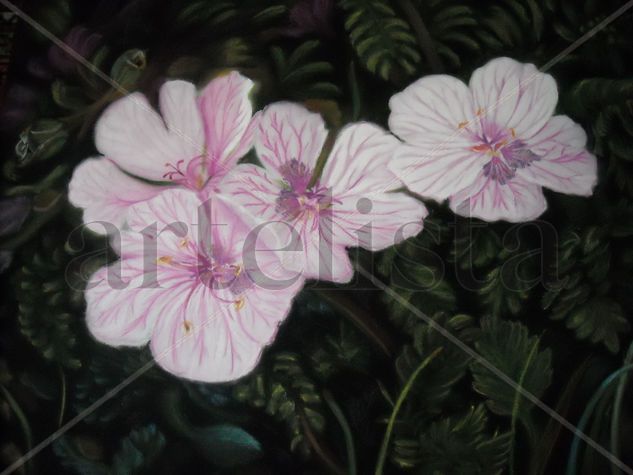 Primavera Silvestre Pastel Card Floral Painting