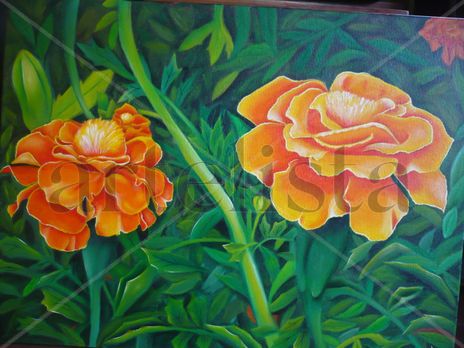 Flores de güateque