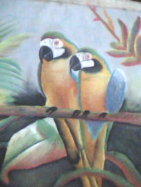 Guacamayas