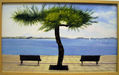 Paseo Maritimo (Santander Cantabria)