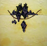 Uvas
