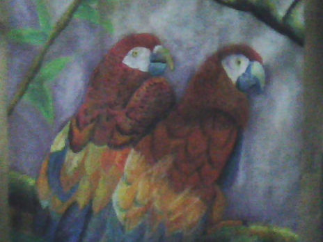 Guacamayas