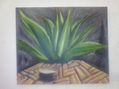 pulque