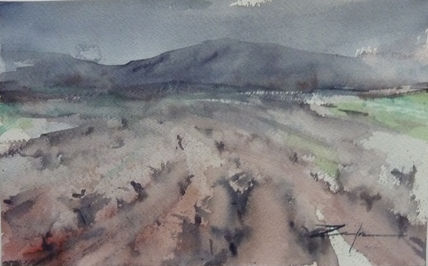 Campos de viñas