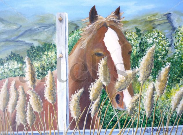Caballo