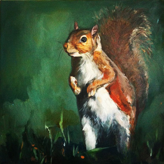 Ardilla Oil Canvas Animals