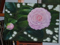 Camelia