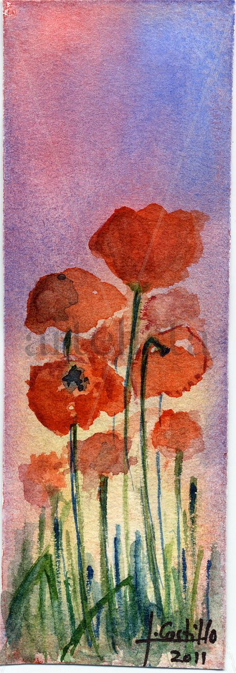 Amapolas