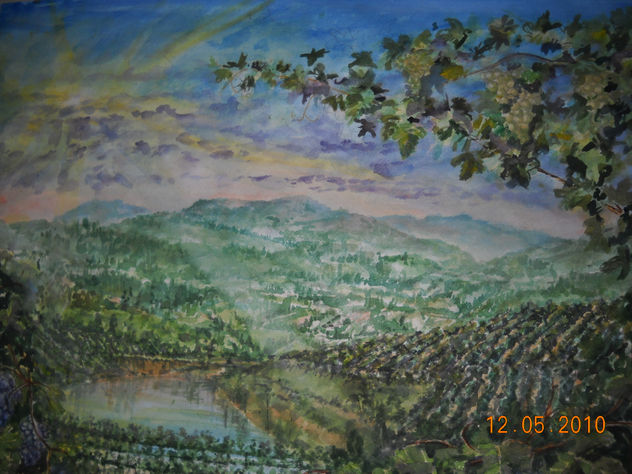 VIÑEDO UVAIRENDA