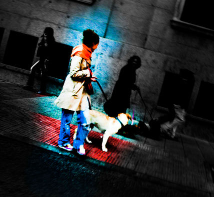 Tarde de perros