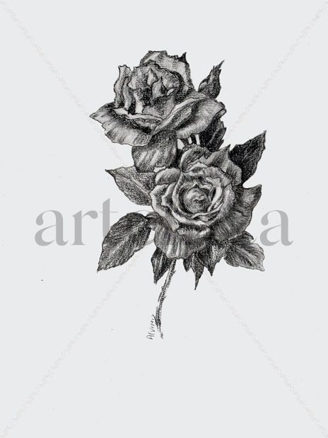 Les deux roses