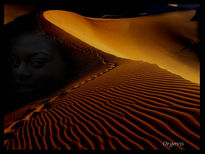 Desert Ebony por...