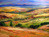 Campos 2