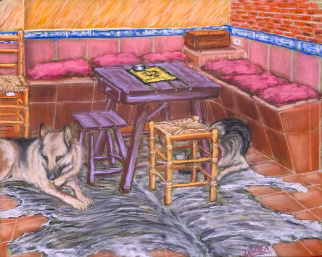 MIS PERROS EN MI ESTUDIO