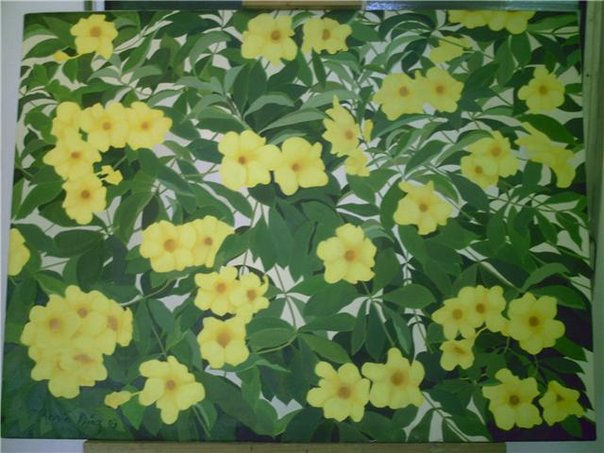 Flores de San Jose Oil Canvas Landscaping