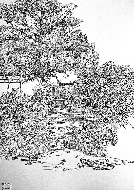 Pinos con arbustos de Vilanova