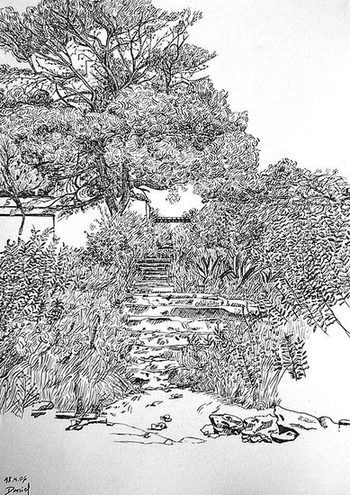 Pinos con arbustos de Vilanova Ink Paper Landscaping