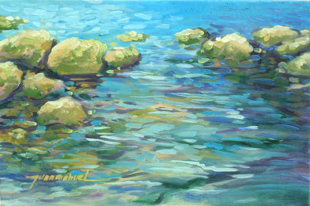 Rocas en la orilla Oil Canvas Landscaping