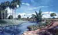 Paisajes.
