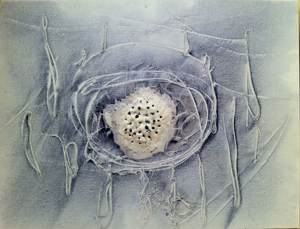 Materia gelida