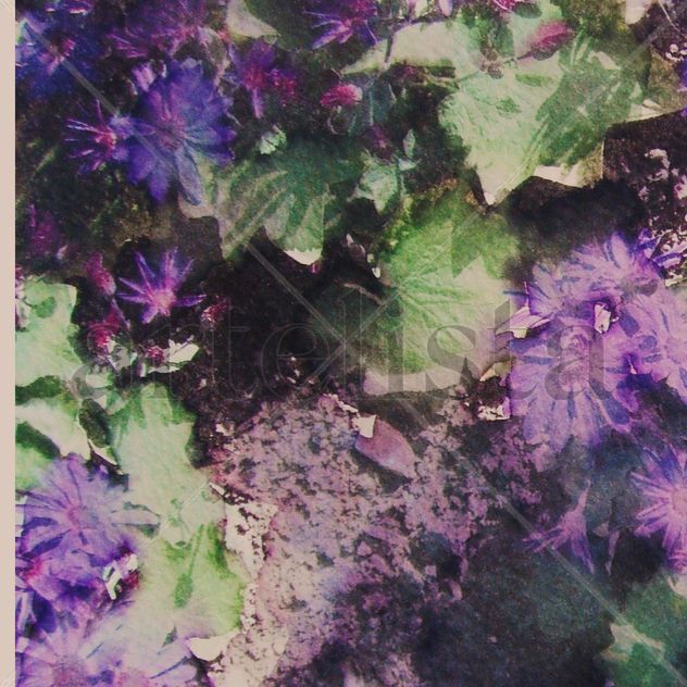 Cores IV