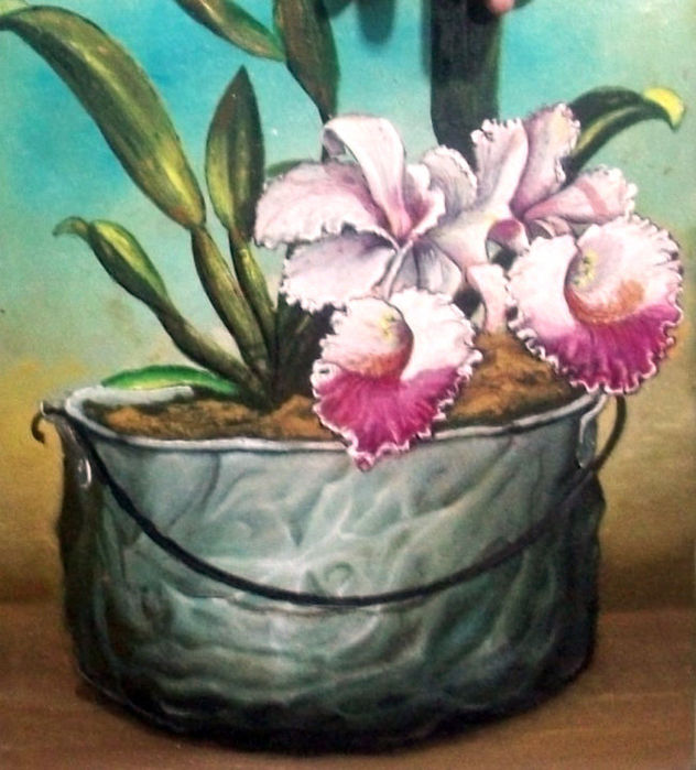 orquideas