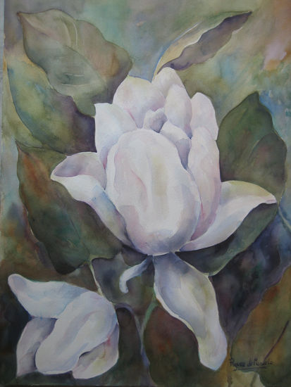 Magnolias 