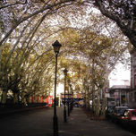 2010 thumbnail 1