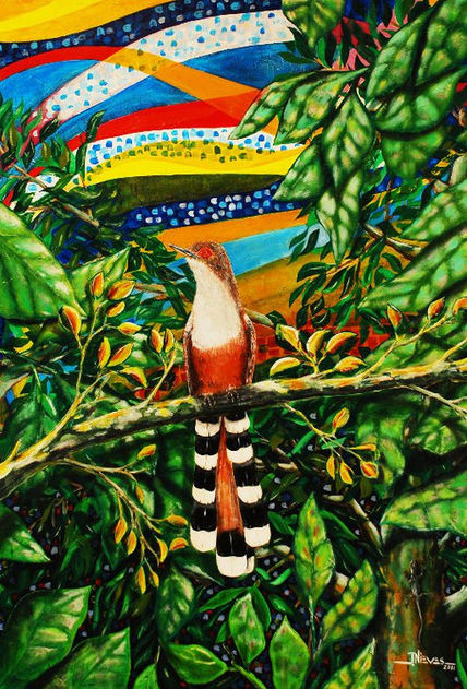 Pajaro bobo mayor