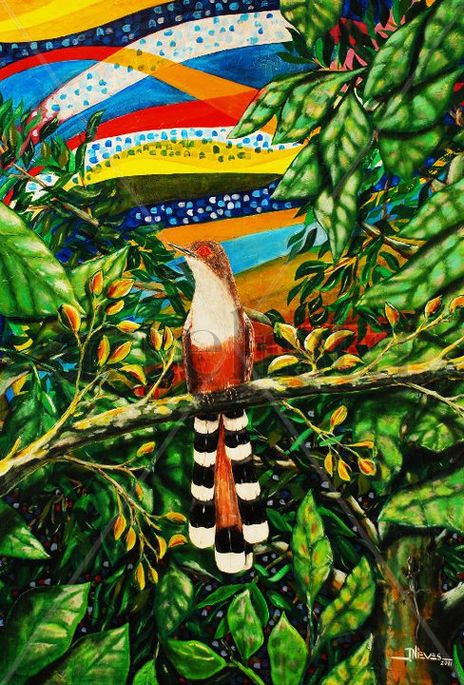 Pajaro bobo mayor