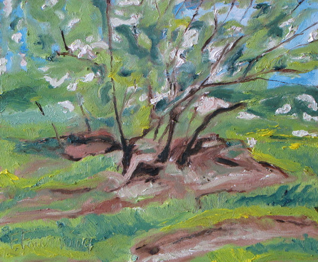 The Flowering Crab Apple Tree