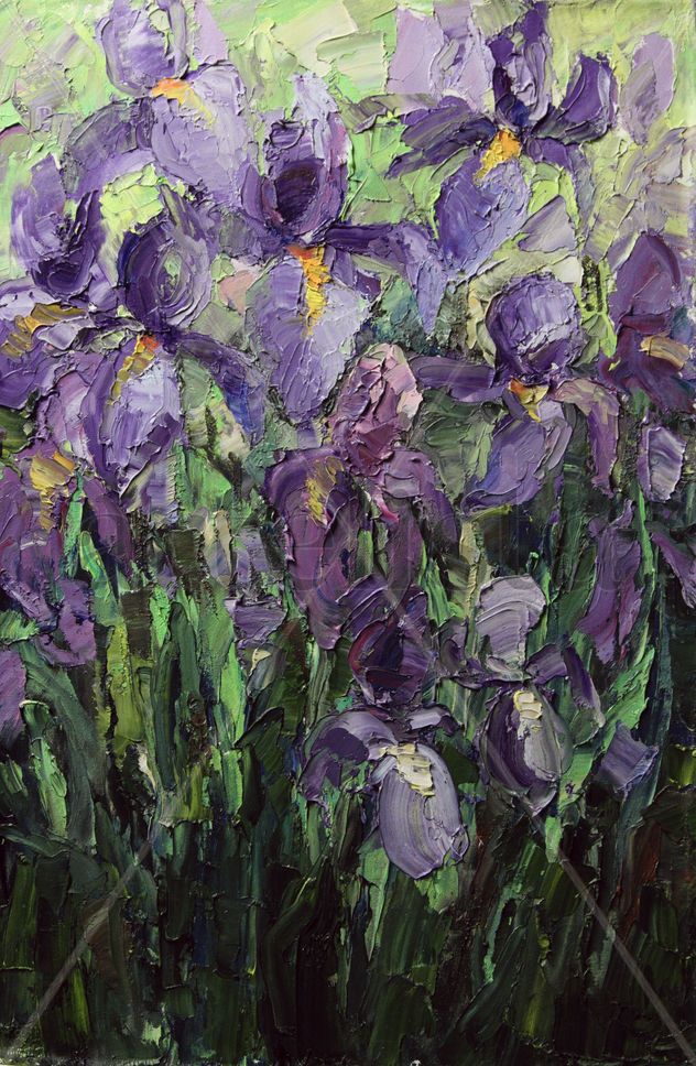 Irises
