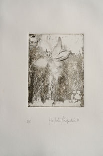 Flor de Magnolio