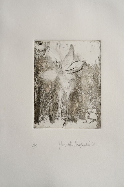 Flor de Magnolio