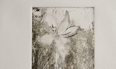 Flores