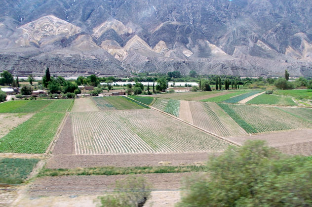 Huerta en la quebrada ....
