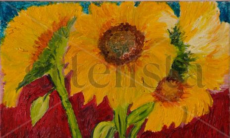 flores
