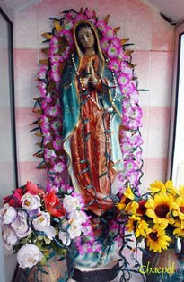 Guadalupe 072