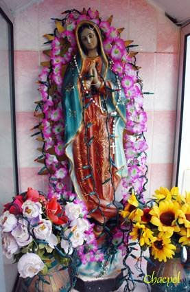 Guadalupe 072