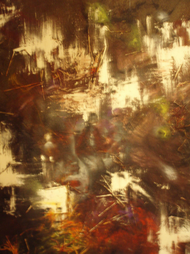 pasaje vividos