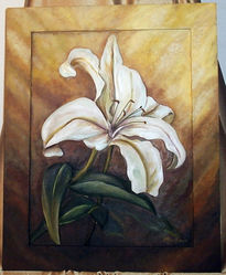 Lilium