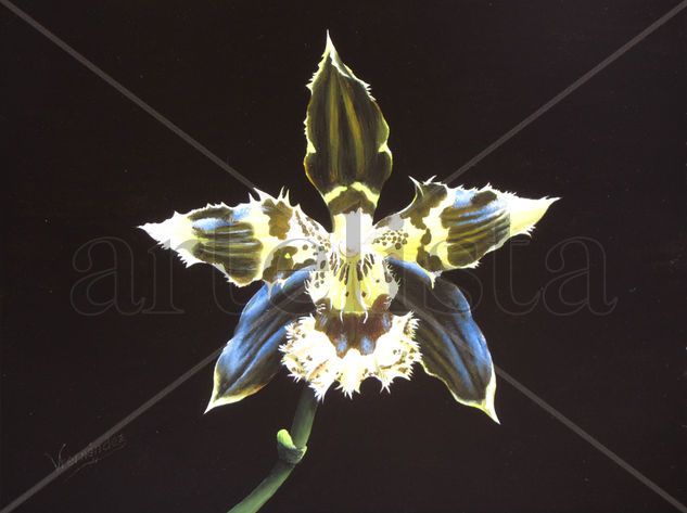 12-ORQUÍDEA Oil Panel Floral Painting