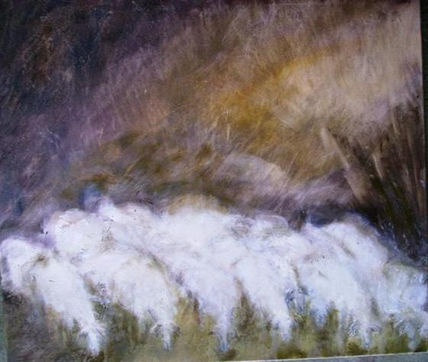 Ovelles pasturant