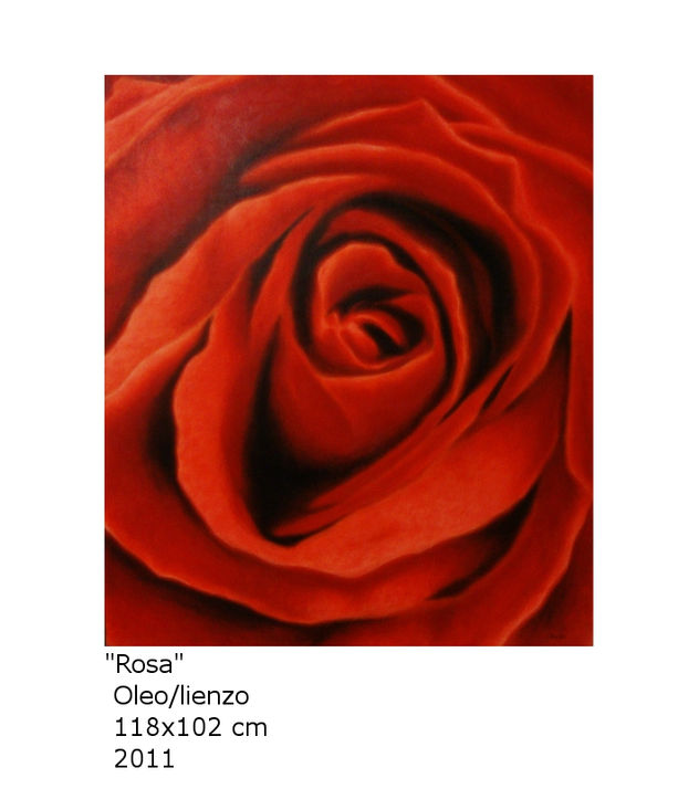 rosa