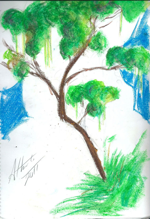 arbol exotico