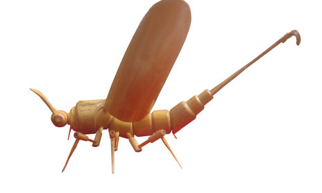 Insectos